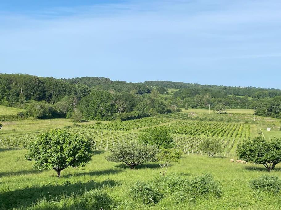 Chai Nous ! Maison Renovee Sur Un Domaine Viticole Proche De Saint Emilion Gardegan-et-Tourtirac Ngoại thất bức ảnh